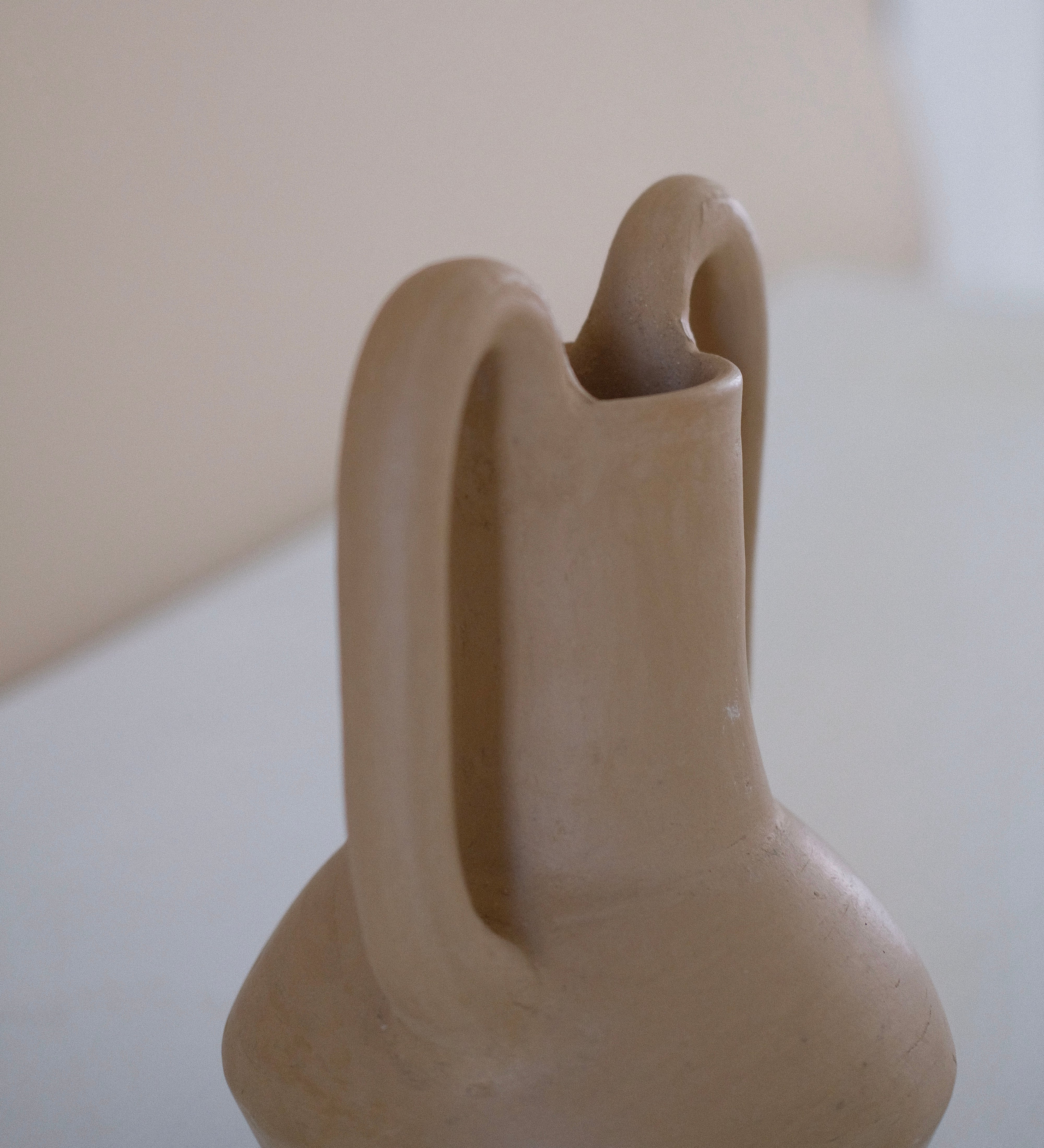 Woman Arms 05 Vase